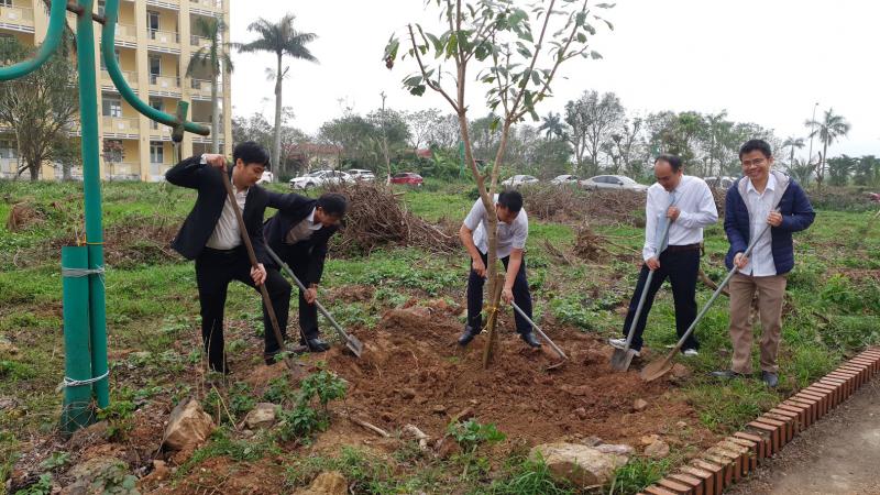 Tet trong cay 2026 1