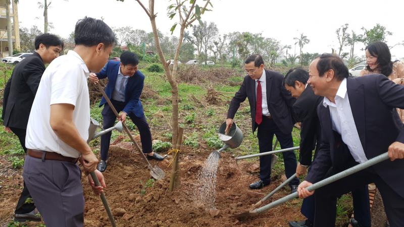 Tet trong cay 2026 2