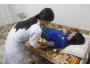 CLB Ngân hàng Máu sống: Thêm một nghĩa cử cao đẹp: hiến máu cứu người