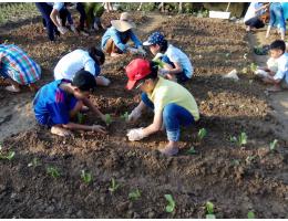 Trải nghiệm thực tế qua buổi học ngoại khóa “Farm kids”