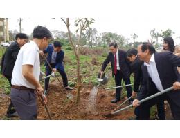 "Tết trồng cây đời đời nhớ ơn Bác Hồ" Xuân Bính Ngọ 2026 tại Trường Đại học Hà Tĩnh