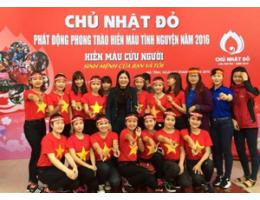 Hơn 300 tình nguyện viên Trường Đại học Hà Tĩnh tham gia Ngày Chủ nhật Đỏ tại Hà Tĩnh